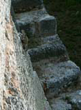 One of the small iguanas that inhabit El Castillo del Morro.