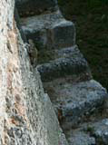 One of the small iguanas that inhabit the fort.