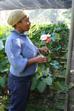Our friendly and knowledgeable guide holding an anthurium flower.
