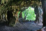 A gallery-like open cave in the limestone cliff.