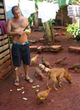 Raudeli Delgado with pig, dog and chickens.