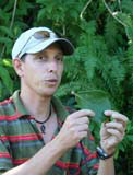 Baracoa: the leaf of the cupey tree, which can be used for carrying messages.