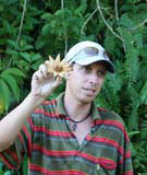 The cupey fruit. The tree has a sticky sap that can be used as glue.