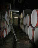 Barrels of maturing rum in the Pinar del Rio factory.