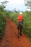 Mary riding Negro in the Viñales valley.