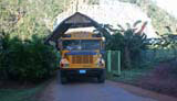 A new looking American-style school bus coming out of the mural park.