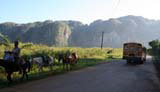 The bus passes some horses.