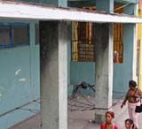 A spider seen from the bus along the Malecón.