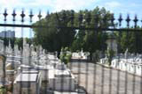 A very brief glimpse from the bus of the Cementerio Cristóbal Colón, which is enormous.