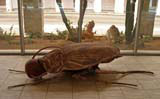 Human cockroach sculpture in the main lobby area.