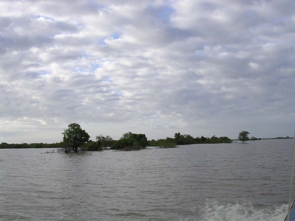 Out through the flooded forest