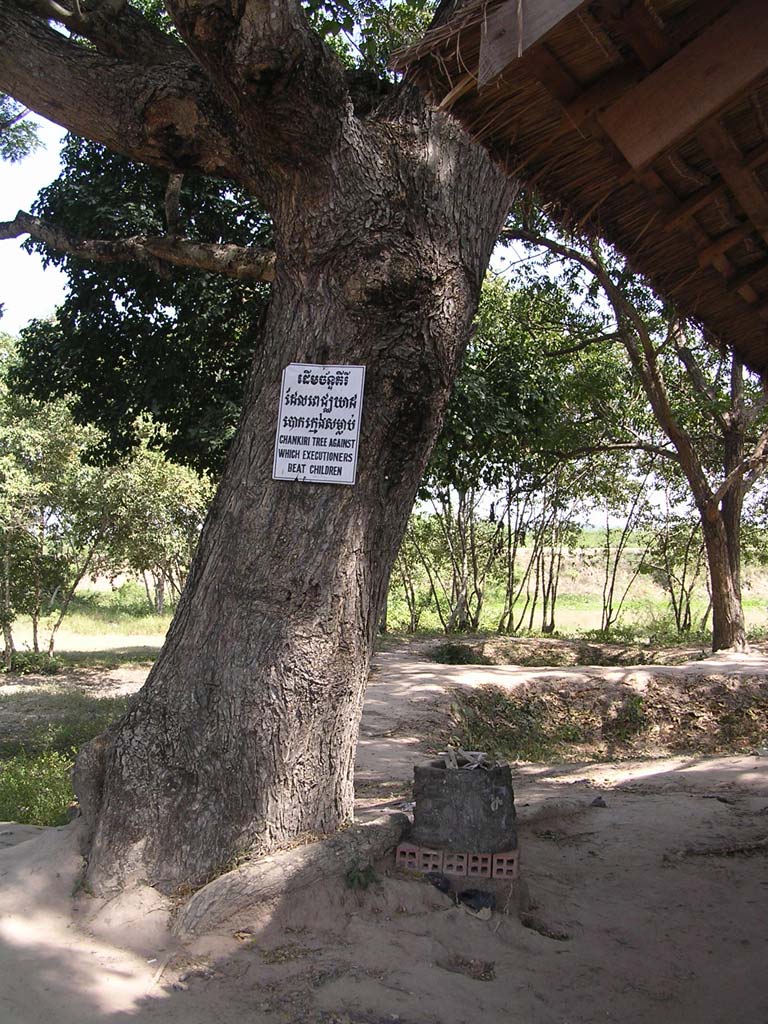 Khmer Rouge executioners would hold small children by their heels and beat their heads against this Chankiri tree (see the painting in the Tuol Sleng section)