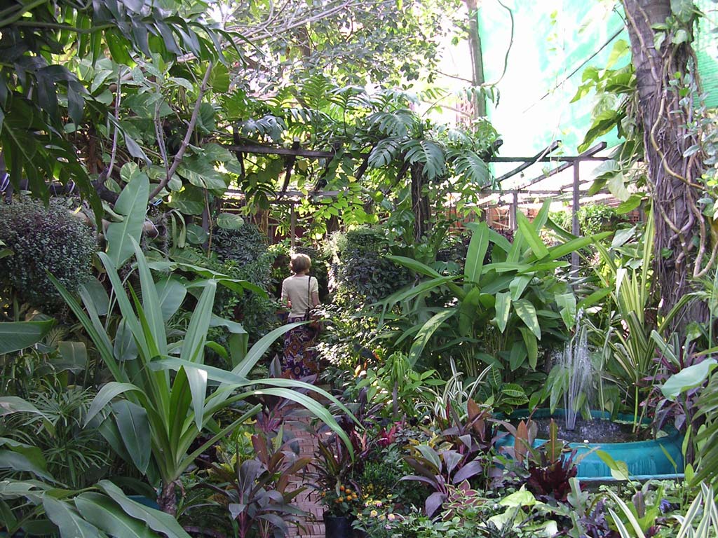 Exploring the greenery at the Garden Center café