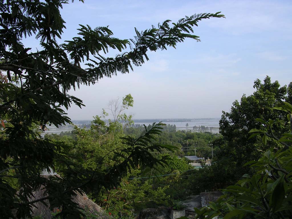 View from the guest house