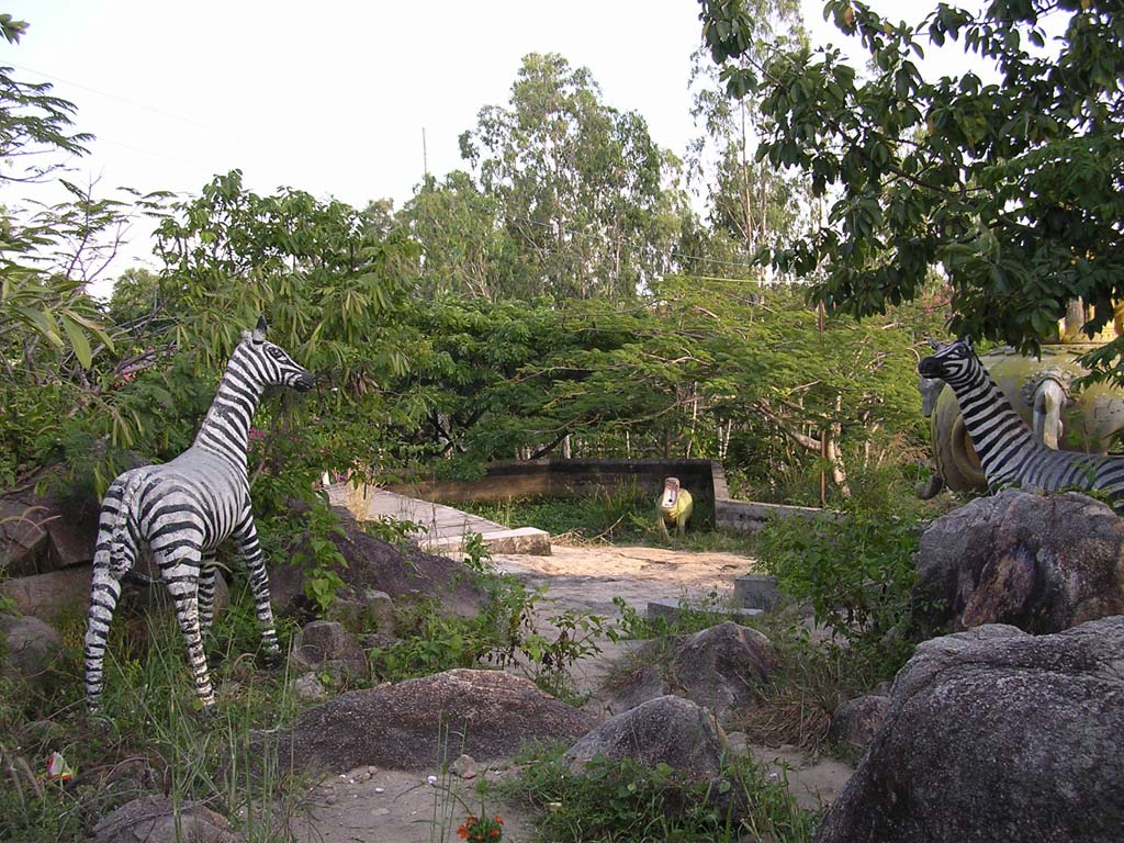 Very smart zebras in the play area