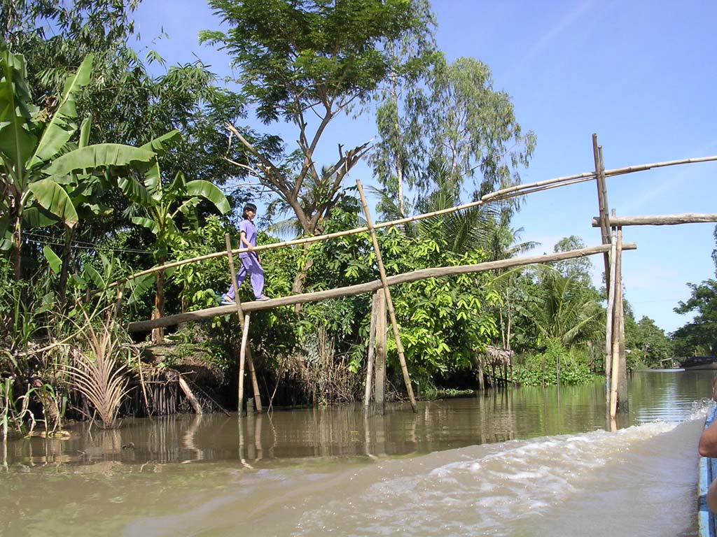 One of the notorious 'monkey bridges'
