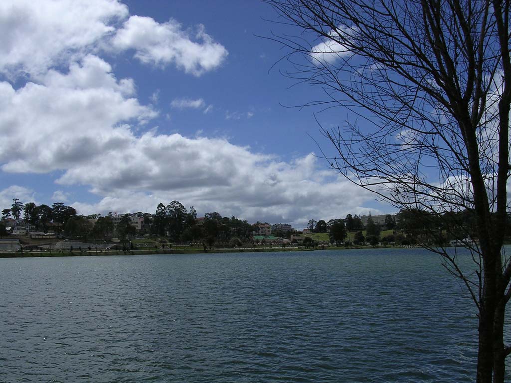 A view across the lake