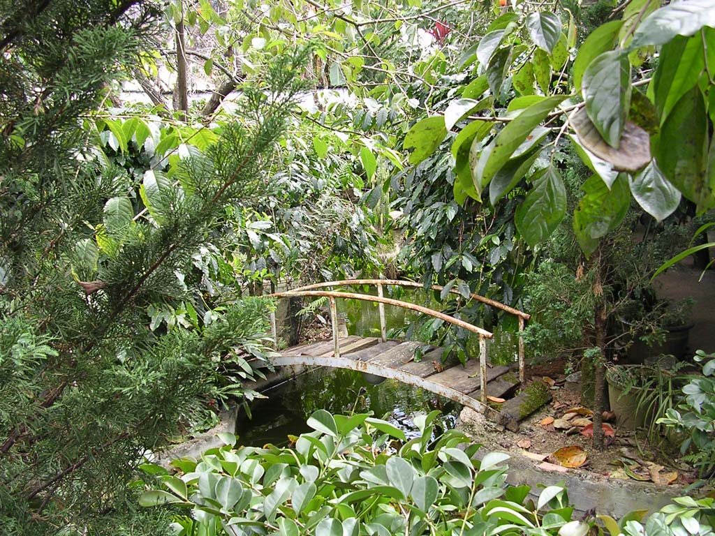 A closer view of the little bridge - not that we could get to it!