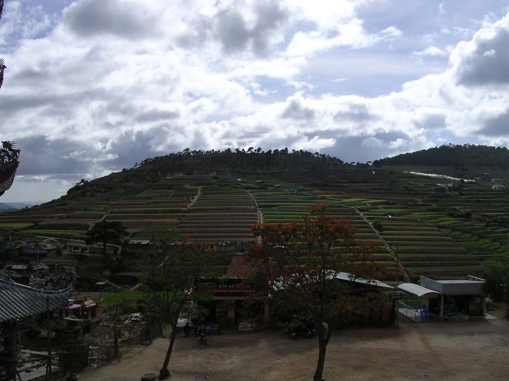 Splendid view from the roof
