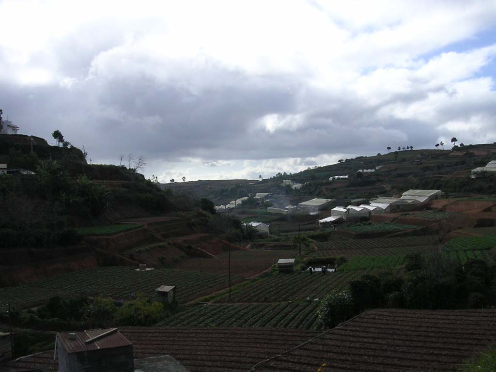 One of the heavily cultivated valleys