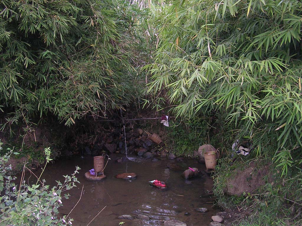 Back into colour, but too late