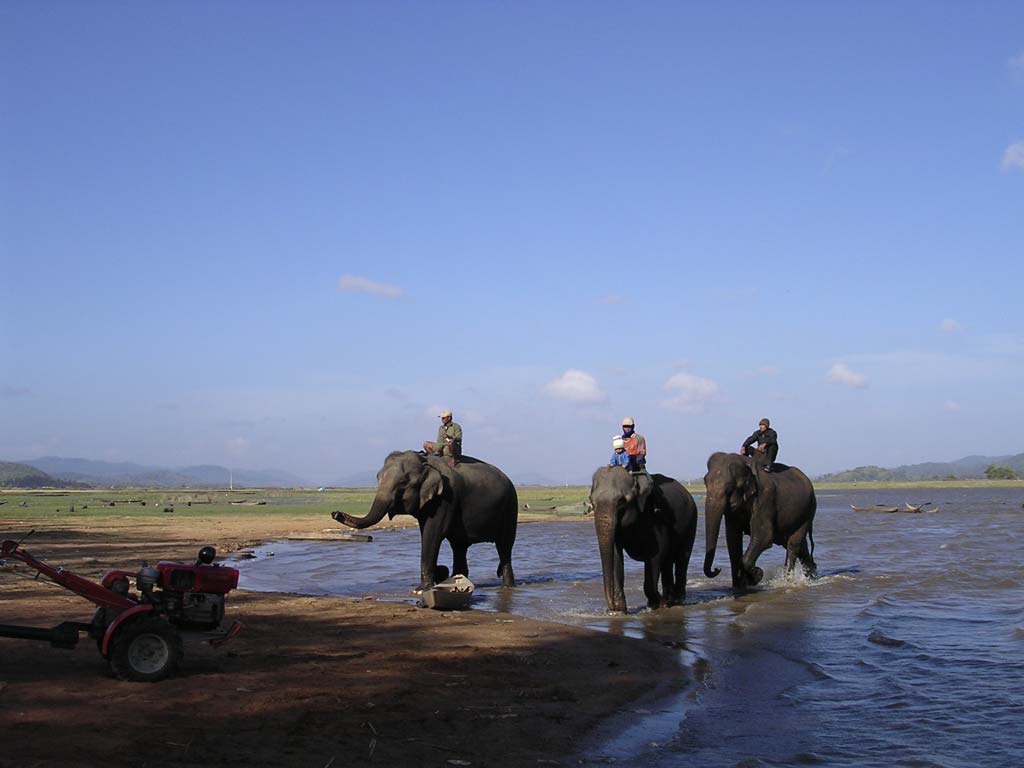 Bare-back riders across the lake - note Junior on the middle one, probably on the way to school