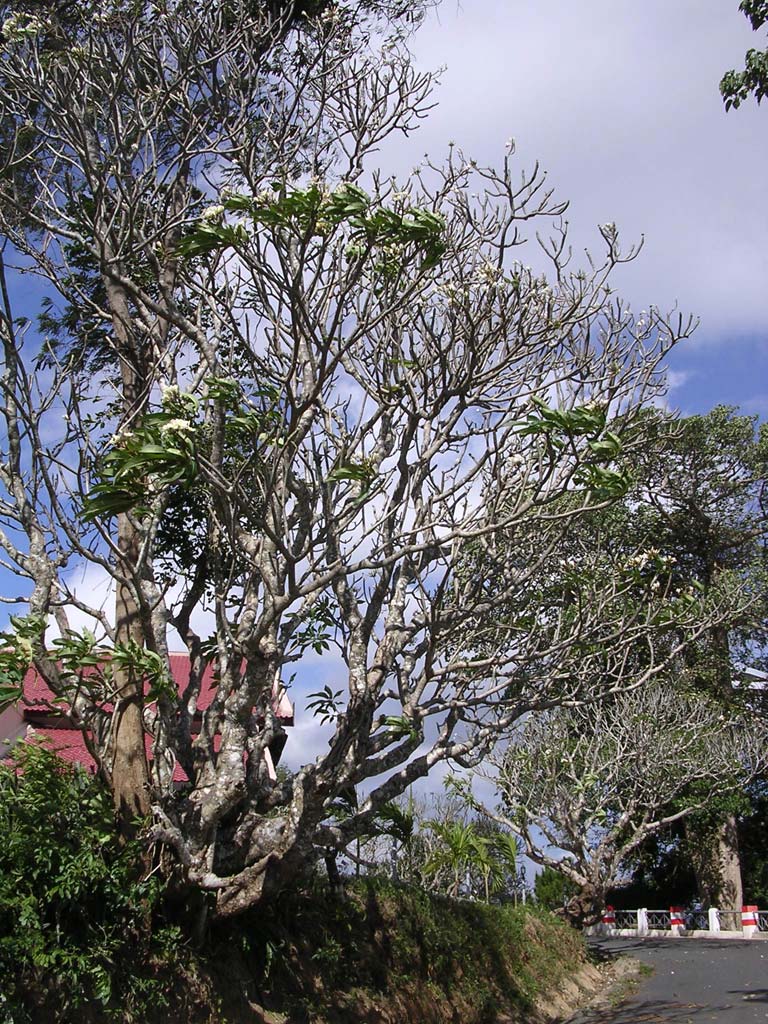 Approaching the lodge