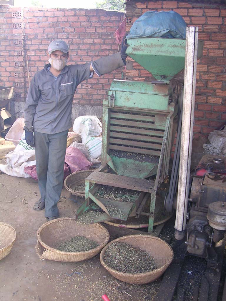Sorting the beans