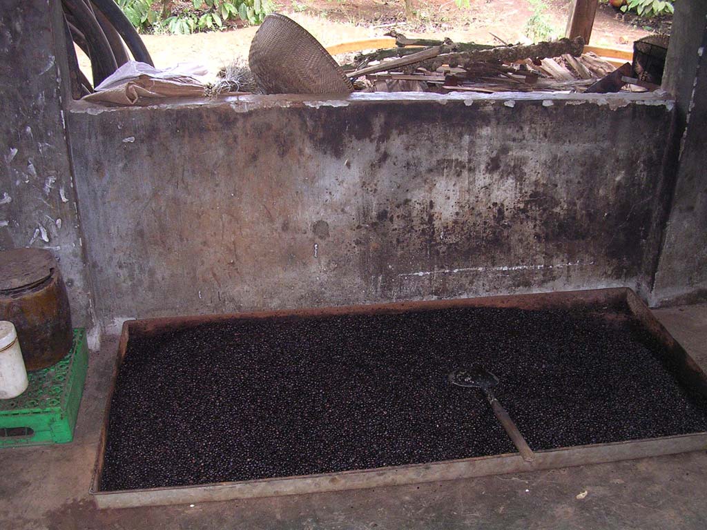 These have been roasted, and they smelled heavenly