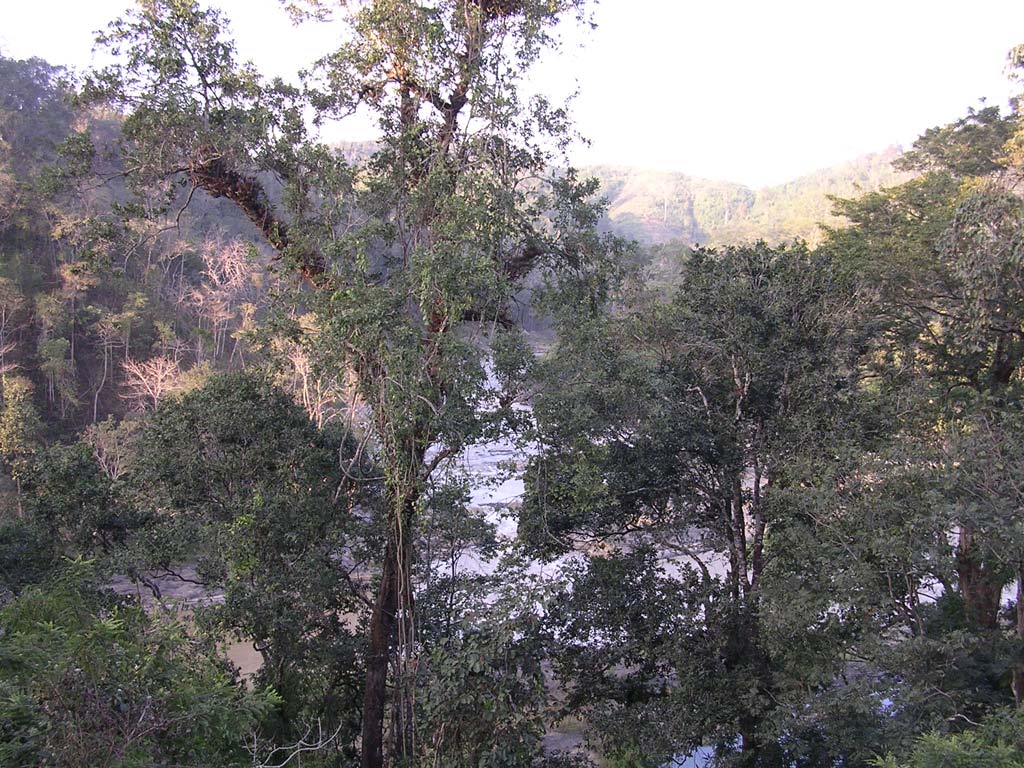 Looking back down towards the pool