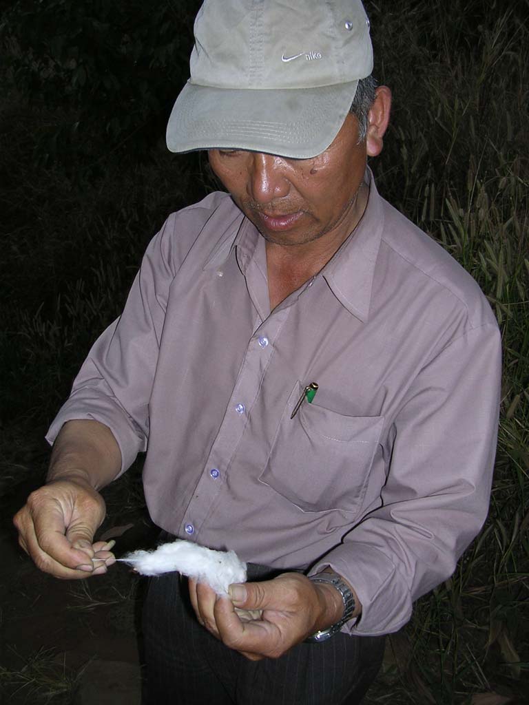 Ted pulls out a flower to prove it