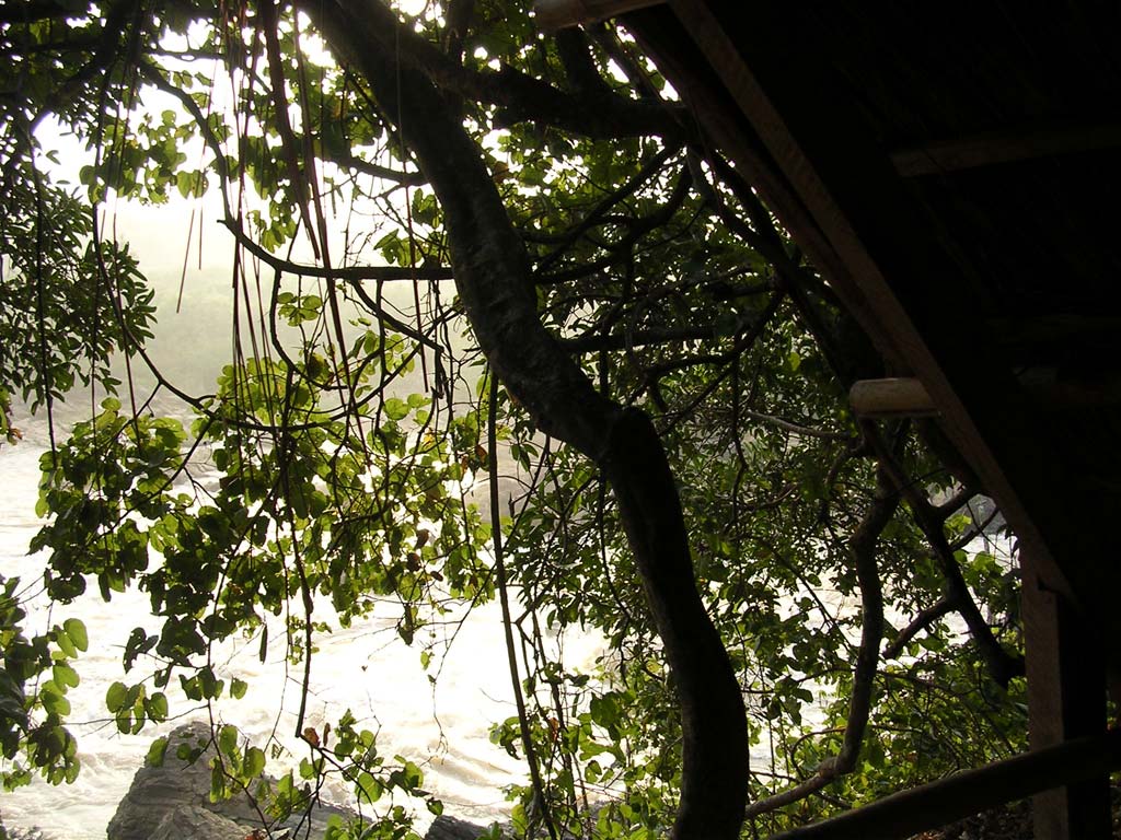 From our balcony, looking down to the river