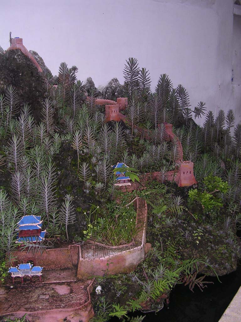 Close up on the same