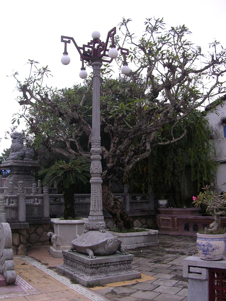 A lamp on the back of a tortoise