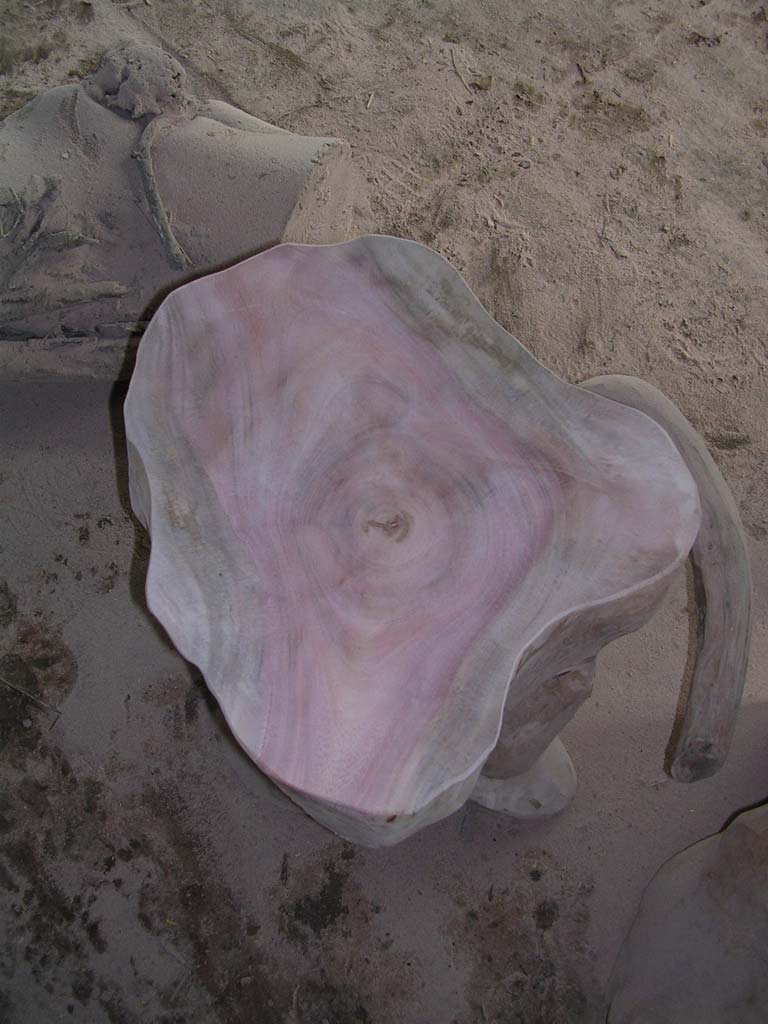 Delicate colours on a tree root stool