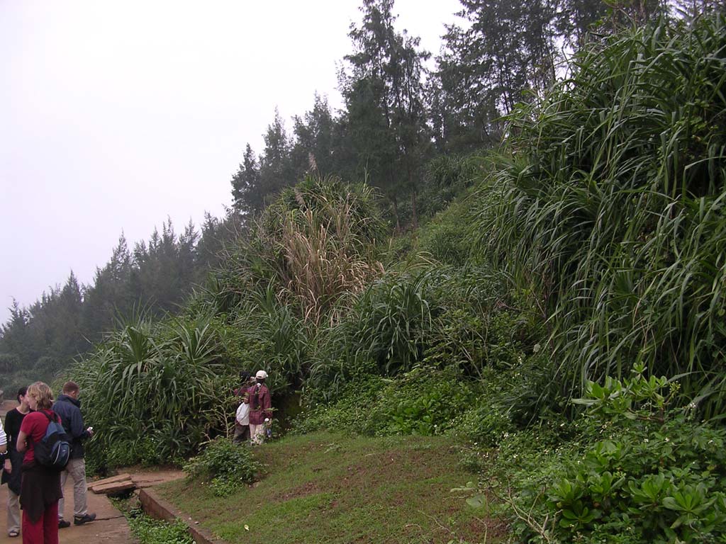 ...coming out here...