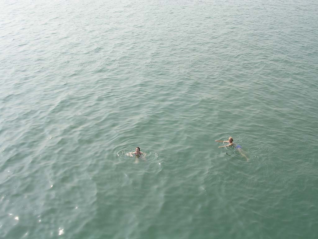 Another of the group joins her - they look an awful long way down from the roof