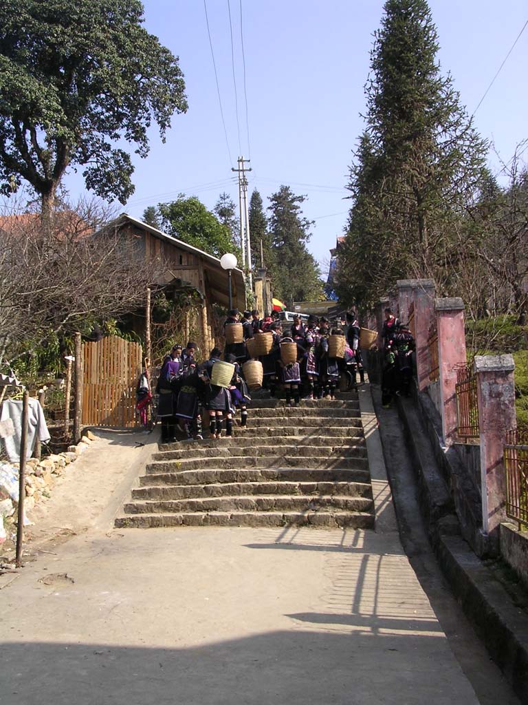A throng of basket-bearing Black H'mong girls