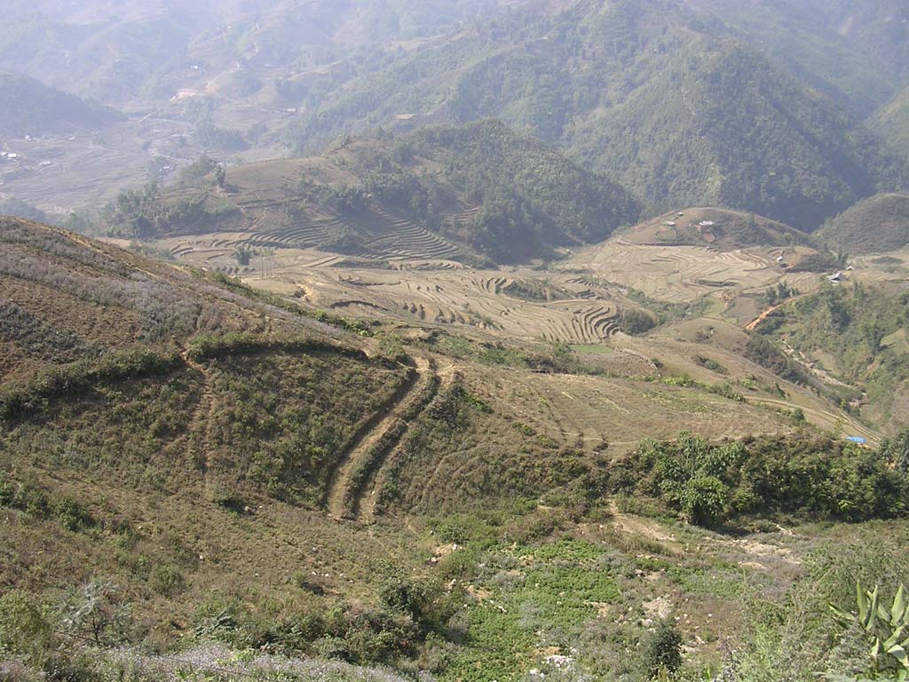 ...because the terraces do something very special for a landscape...