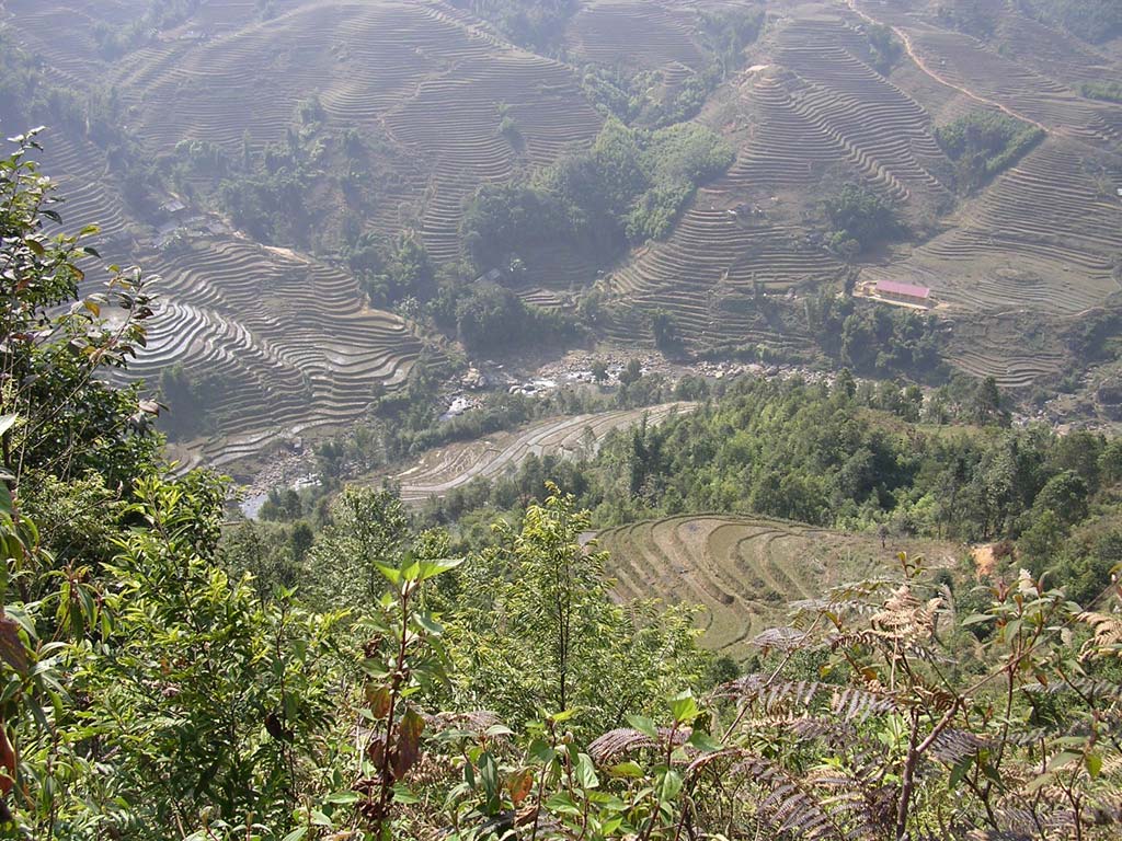 Spectacular terraced rice paddies near Sapa