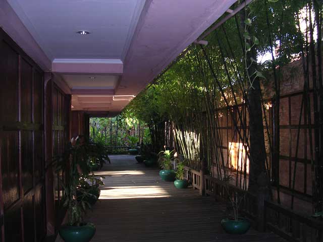 Bamboo corridor