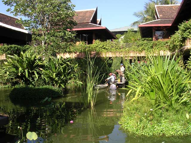 Cambodia: Angkor Village Hotel, Siem Reap - aquatic gardening