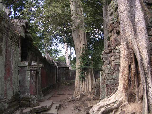 Along the inside of one of the walls