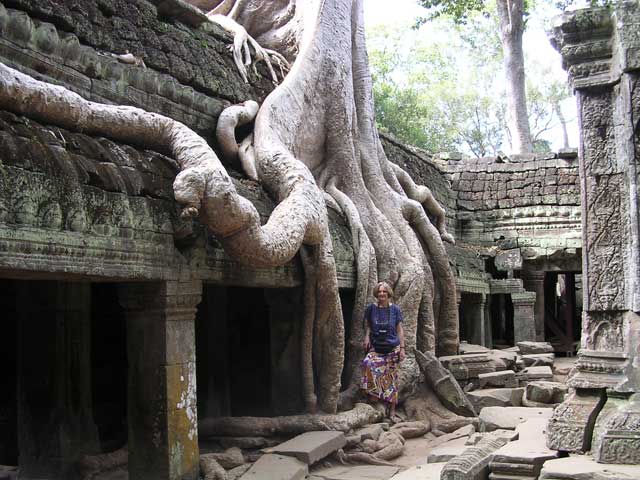 Some of the most impressive roots of all at Ta Prohm, Angkor