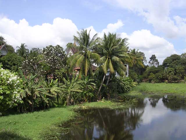 Beside the path