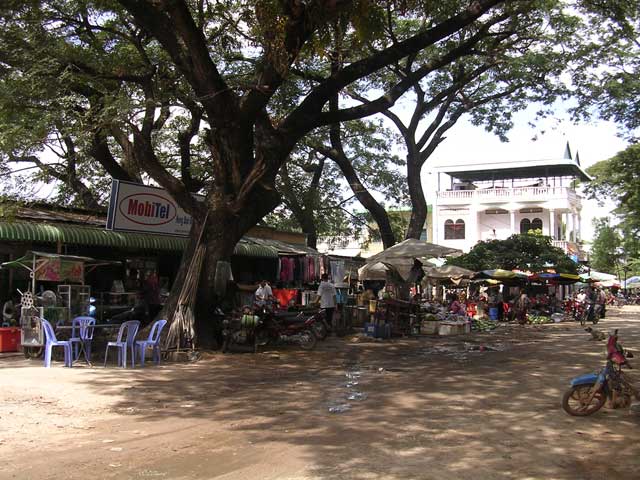 Trees shading the centre of Roluos, Angkor