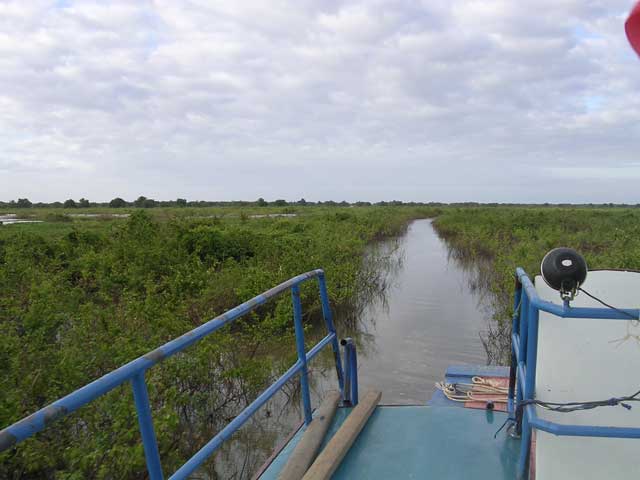 Ploughing through the flooded forest towards Battambang