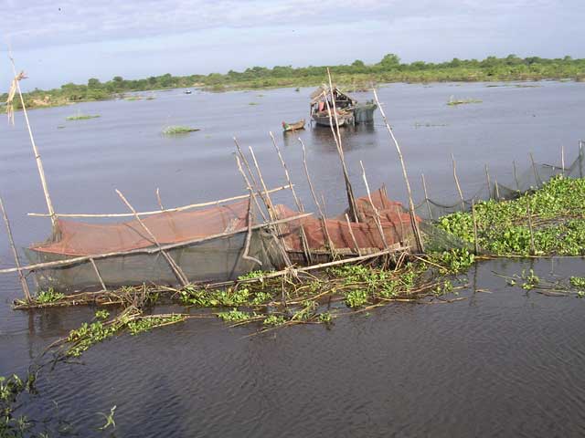 Fishing - or perhaps a fish farm?