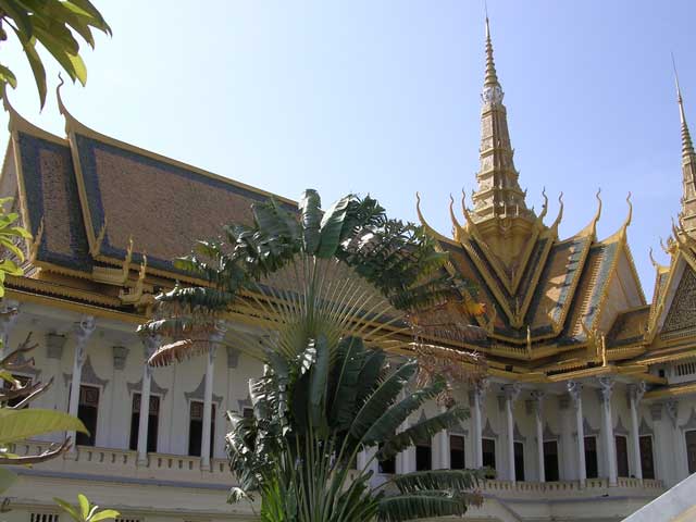Peacock Tail or Traveller's Palm at the Royal Palace, Phnom Penh