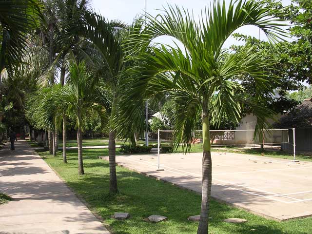 Delightful surroundings, including a badminton court, for the customs officials